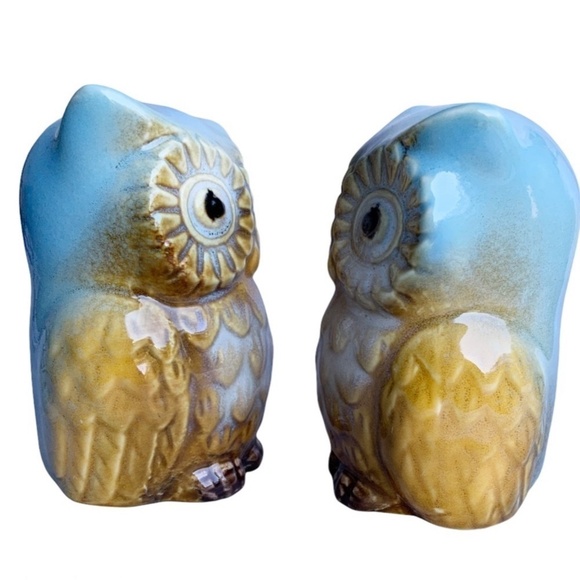 Blue Owl Salt and Pepper Shaker Set Glazed Ceramic Owl Decor 2 Piece Set - Picture 4 of 14